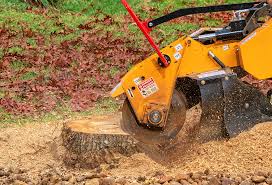 Best Lawn Renovation and Restoration  in Mineralwells, WV